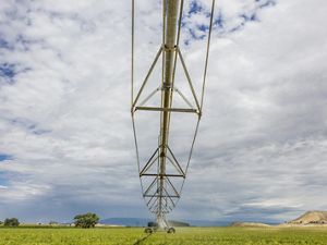case study on water supply Meaker Farm, Montrose, Colorado. Circle irrigation is used in a test plot on the farm, in hopes of saving water. This is one of the sites toured by the Nature Conservancy in tandem with Pepsico demonstrating forest and fire management, and irrigation efficiency projects.