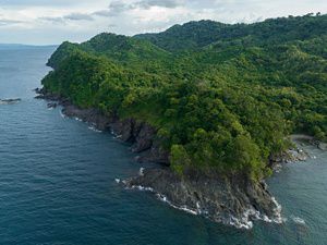 Aerial view of steep cliffs rising up from the ocean. The summits are covered in thick, green forests.
