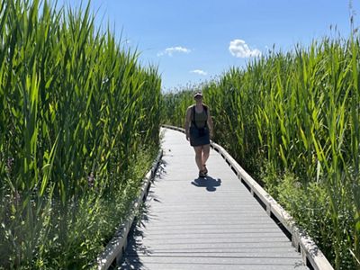 Megan Gordon walks on a boardwalk surrounded by tall grasses in the sunshine.