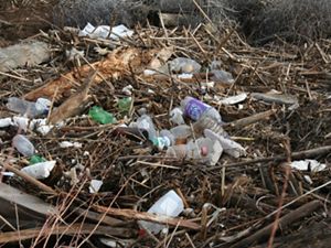 Close up view of a pile of garbage. Discarded cans, glass bottles and plastic milk jugs and soda bottles are scattered across a thick pile of sticks, logs and broken wood. 