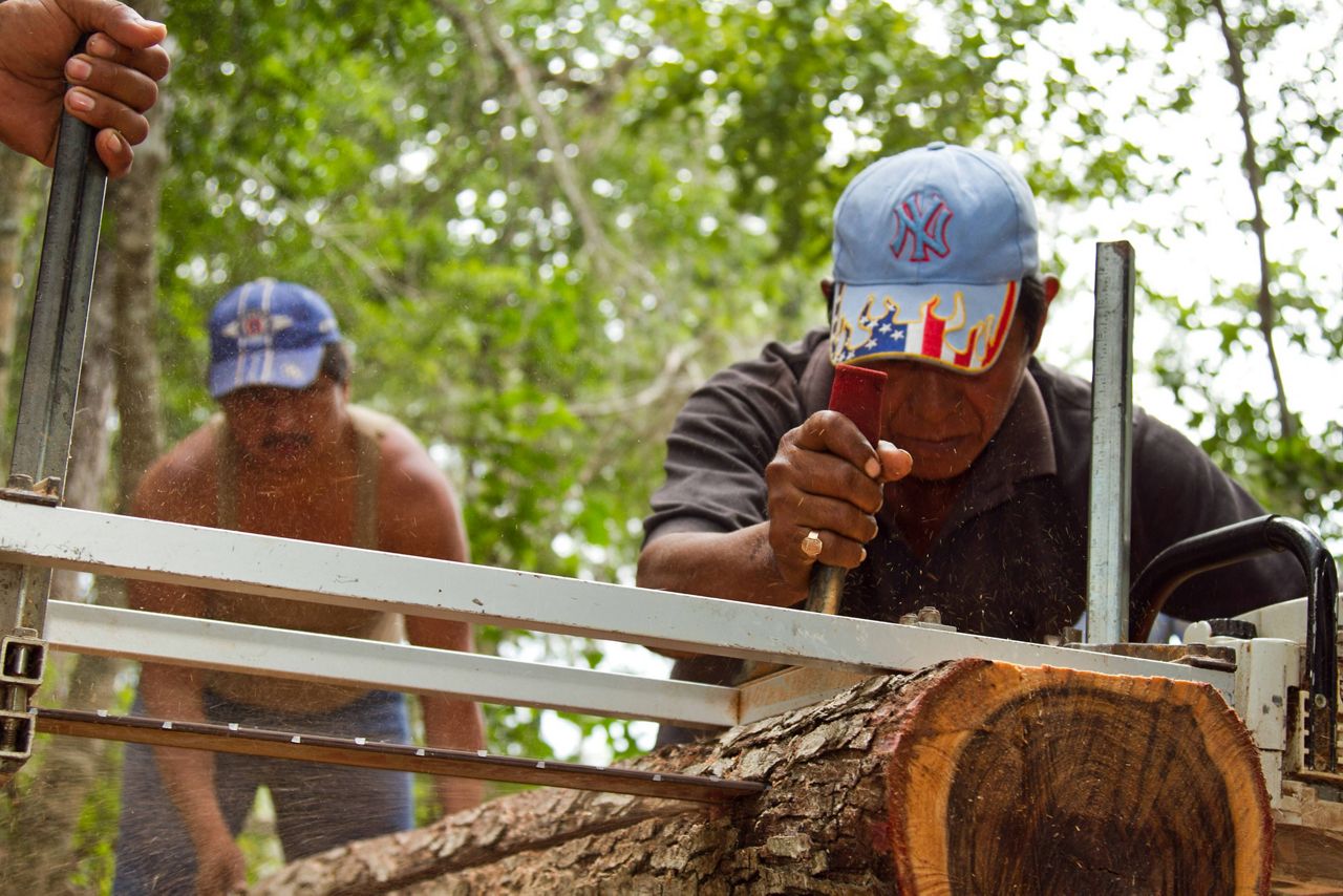Climate-Smart Forestry | The Nature Conservancy