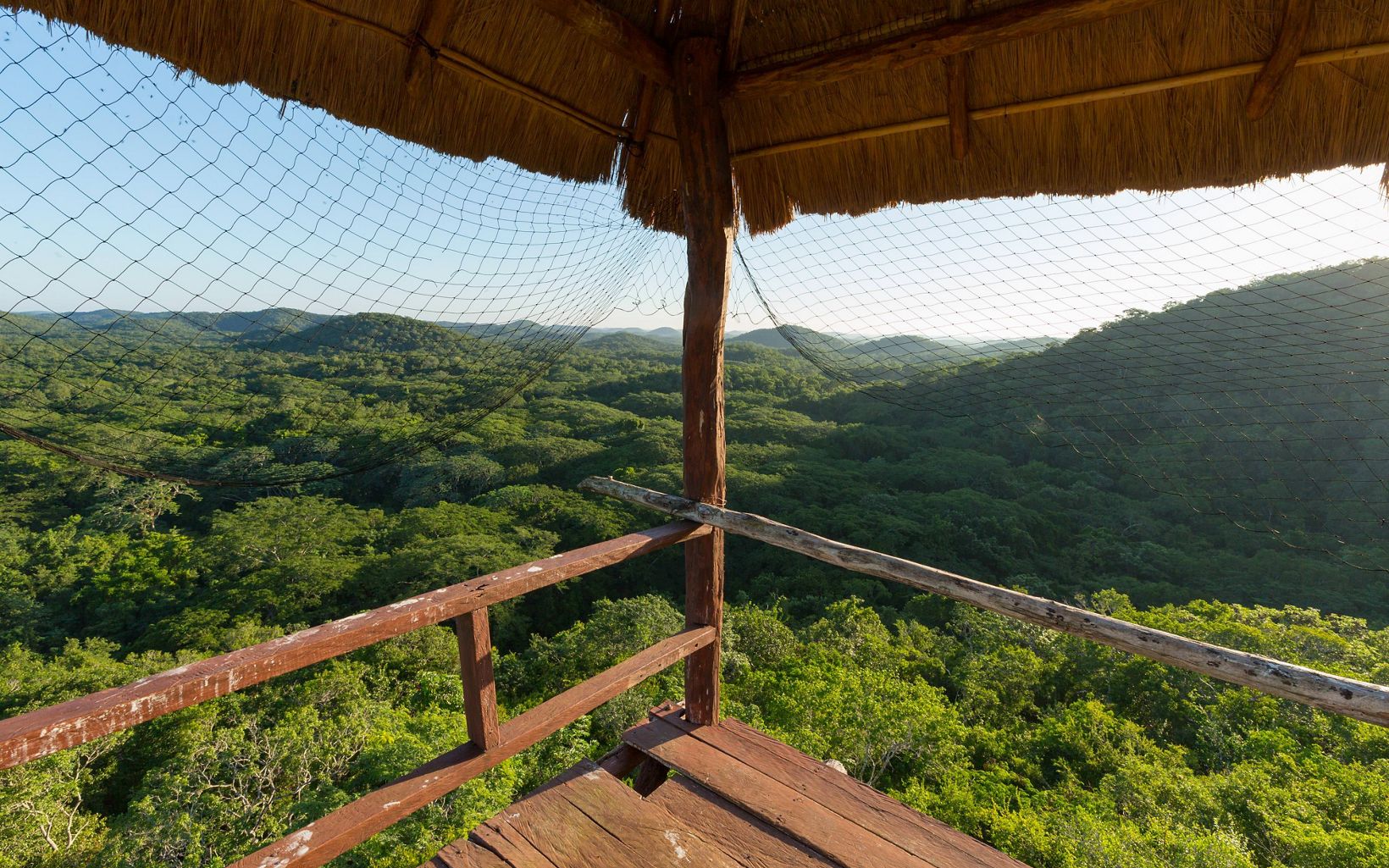 
                
                  Yucatan in Mexico.  View from the observation tower at the 4,500 acre Kaxil Kiuic Biocultural Reserve operated by Millsaps College in San Sebastian, Yucatan in Mexico. 
                  © Erich Schlegel
                
              