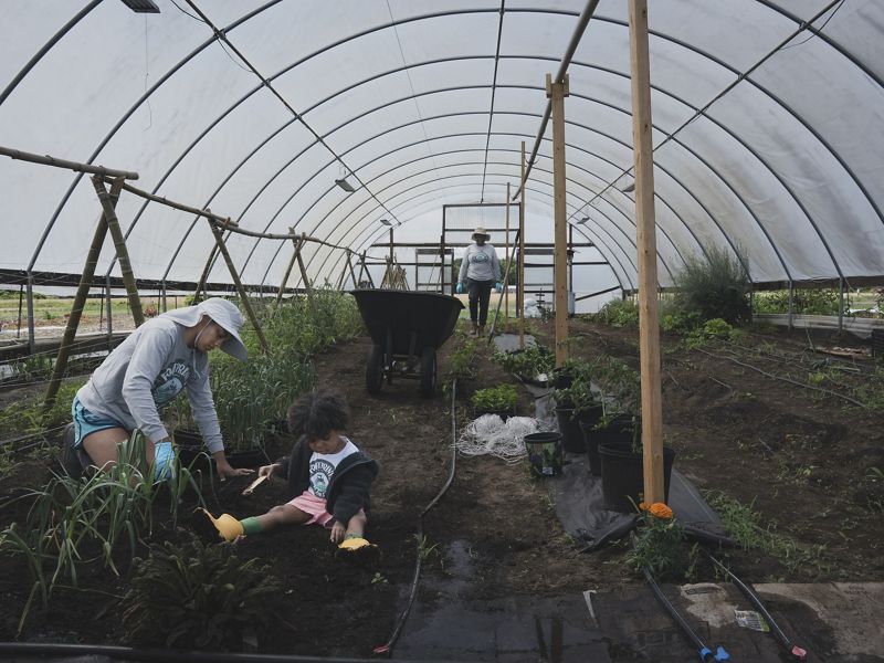 Three generations of women farming in a high tunnel.
