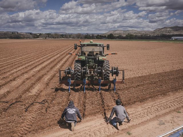 Dos hombres tras maquinaria en campos de cultivo.