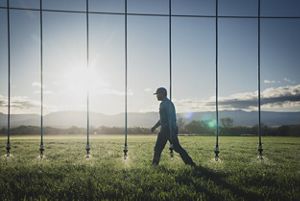 Person walks along pivot line, a row of sprinklers, on farm. 