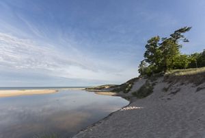 A blue sky stretches over calm, smooth water gathered against a sandy dune. Sparse trees and grasses grow in the sand. 