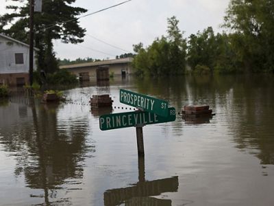 banks from the Mississippi River in St. Francisville, LA.