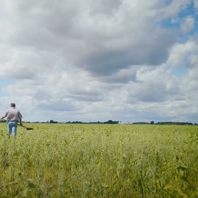Still from video: A farmer walks through a field in the Saginaw Valley. The sky is blue and full of clouds. 