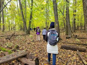 A group of people walks along a forest path at the Nan Weston Nature Preserve that is covered with fallen leaves. 
