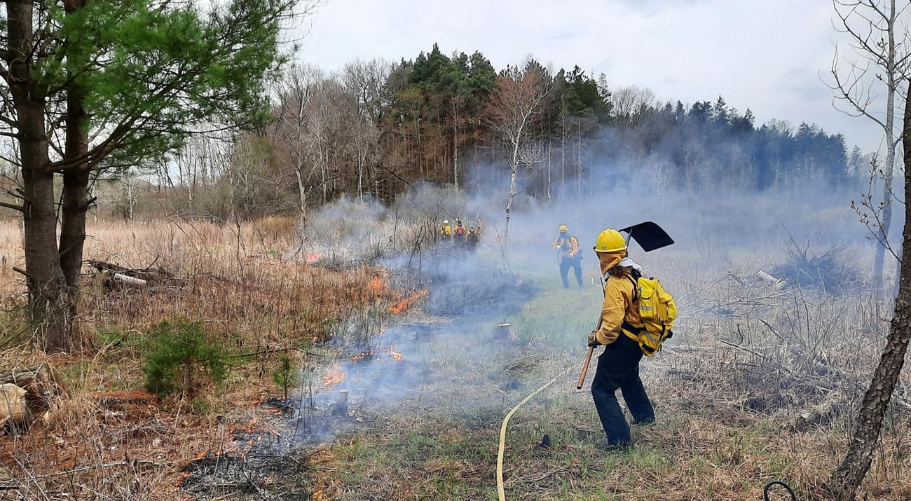 Land managers conduct a controlled burn in a Michigan preserve during autumn.