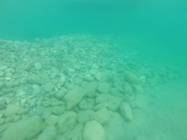 An underwater view of a cobble reef habitat that slopes down to the right until it flattens out along the bottom of a green lake.
