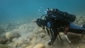A TNC diver examines a reef at the bottom of Lake Michigan. The water is clear and the bottom visible for a few feet. 