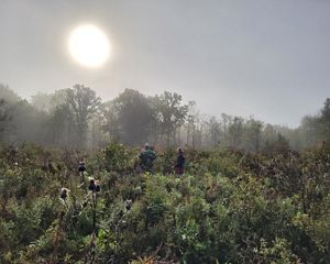 Three people stand in Ives Road Fen Preserve on an early morning. The sun reflects off of mist in the fen, giving the area a glow.
