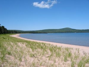 Sandy beach at Bete Grise Wetland Preserve, with clusters of short green dune grasses growing evenly throughout the sand. A curved shoreline is visible, with gently sloping hills visible in the distance. 