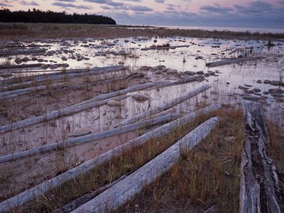 Rocks and driftwood along the shore of a lake as the sun rises.