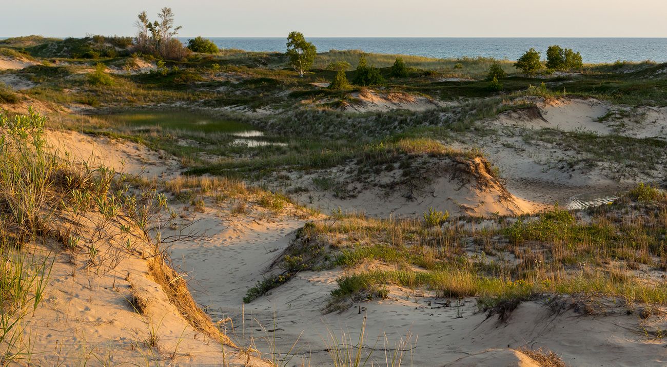 Rolling sand dunes with green grass along a lake shore.