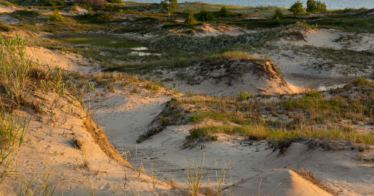 Protect Land Protecting Our Land | The Nature Conservancy