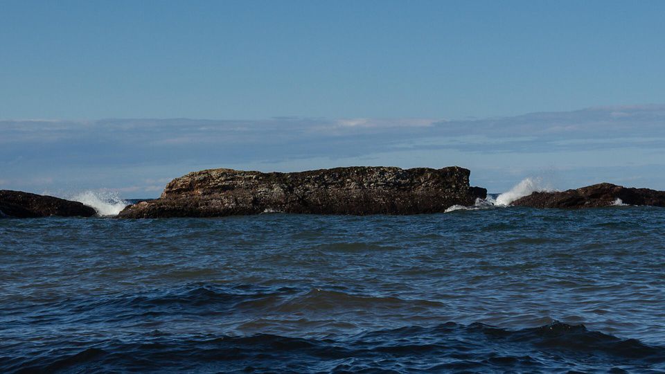 Bete Grise Wetlands Preserve The Nature Conservancy in MI