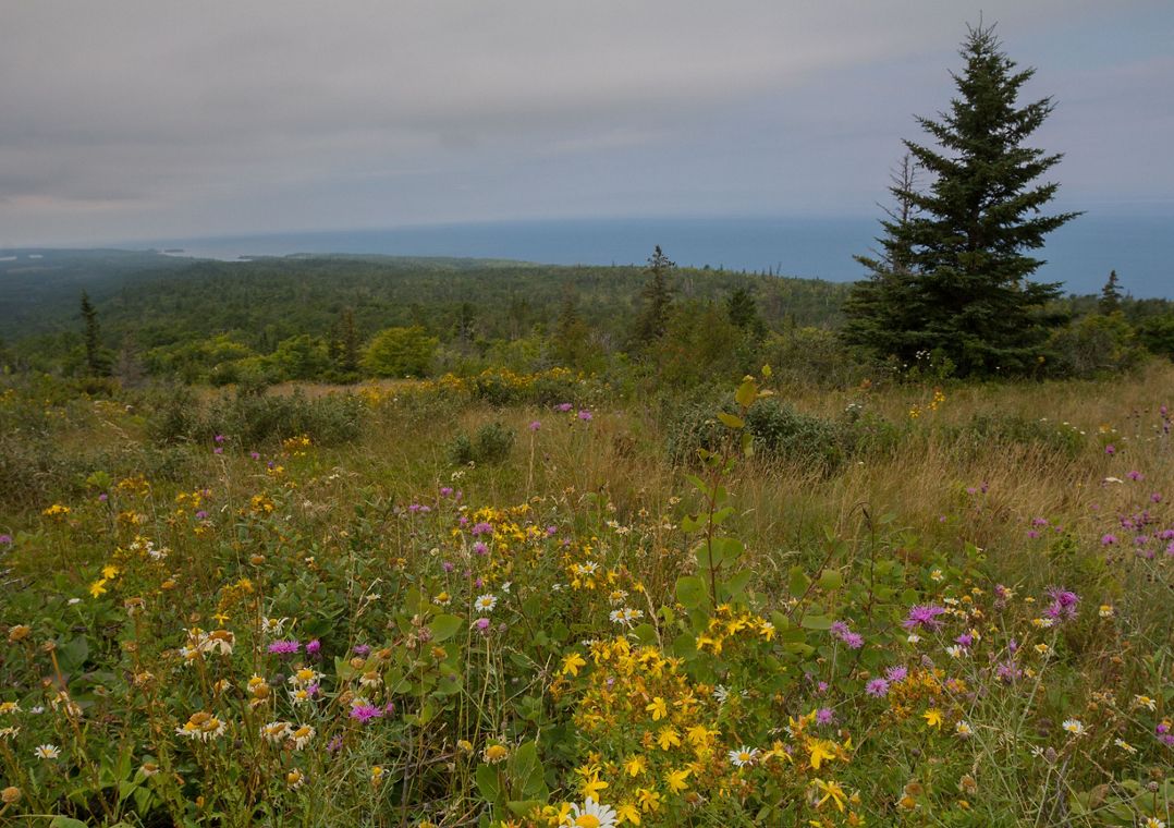 Landscape scenic view of grassy, wildflower-filled fields from the summit of Brockway Mountain in Michigan's Upper Peninsula.