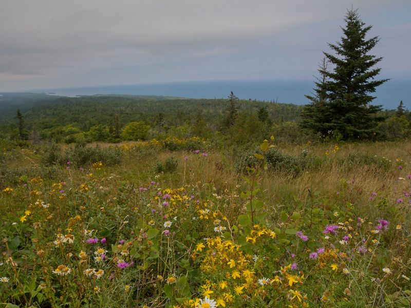 Landscape scenic view of grassy, wildflower-filled fields from the summit of Brockway Mountain in Michigan's Upper Peninsula.
