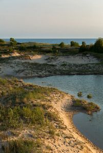 The shoreline at Zetterberg Preserve, with sandy dunes full of grasses and plants rising above the water.