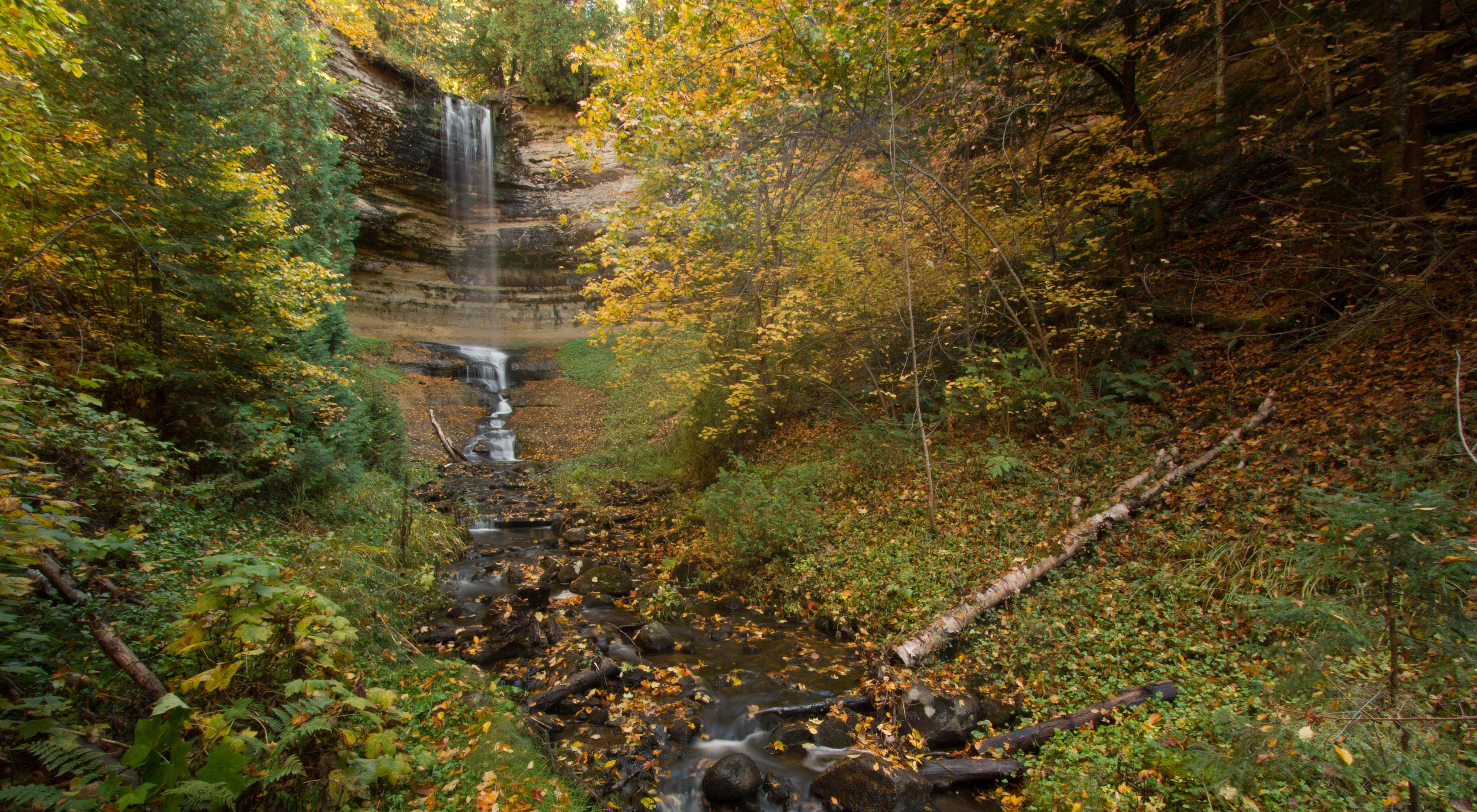 A waterfall in a Michigan forest. The surrounding trees are covered in the yellow and oranges of autumn. 