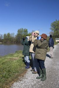 A group of people look through binoculars on the Erie Marsh Preserve in Michigan. 