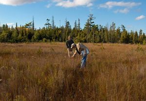 Two TNC staff members walk through a field of tall grass at North Point. 