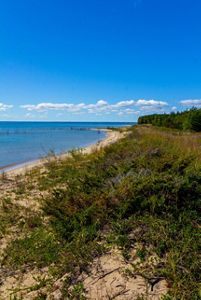 A view of the North Point Peninsula shoreline, with brush and grasses growing thick in the shane along the water.