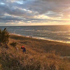 Hikers climb up a grassy incline as the sun sets over Lake Michigan. 