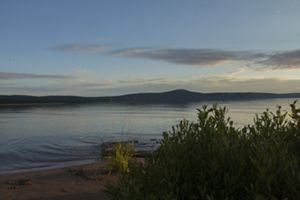 View of a quiet lake from a shore covered in sand and green plant growth.