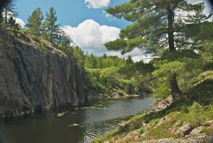 Forested area with water and exposed rock. 