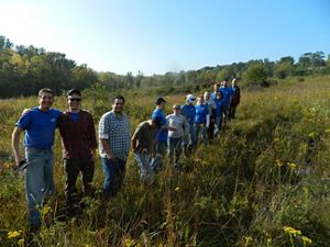 A long line of volunteers forms in the Ives Road Fen on a sunny day in Michigan.