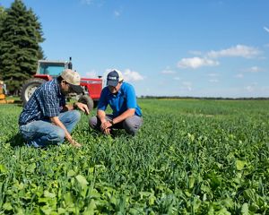 Two people kneel in a field on a farm in the Saginaw Valley of Michigan.