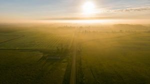 Mist rolls over farms  in the Saginaw Valley in Michigan. The sun shines brightly and reflects off the mist. 