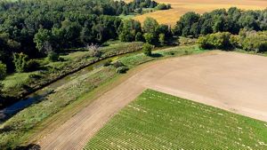 Buffer strip on MI farm