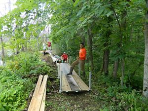 Four volunteers work at various points of a new boardwalk at Ives Road Fen in Michigan. 