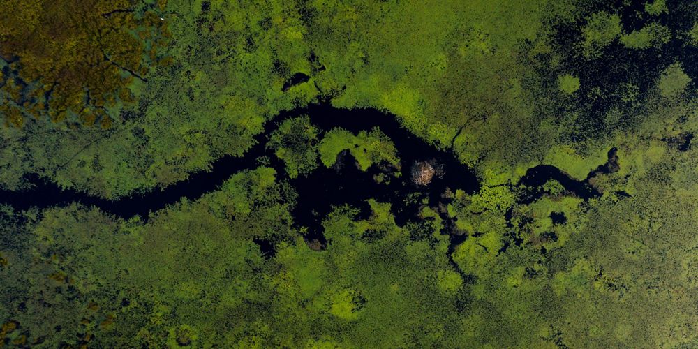 Aerial image of wetland at McMahon Lake Preserve in Michigan's Upper Peninsula.