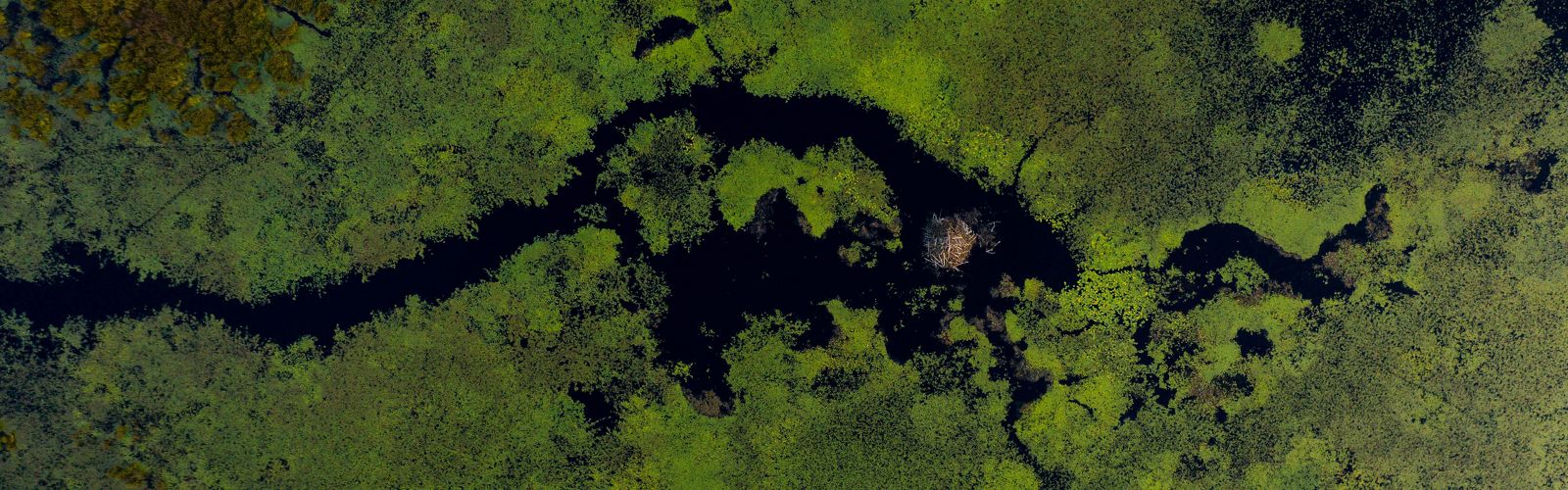 Aerial image of wetland at McMahon Lake Preserve in Michigan's Upper Peninsula. 