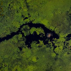 Aerial view of lake surrounded by wetlands.