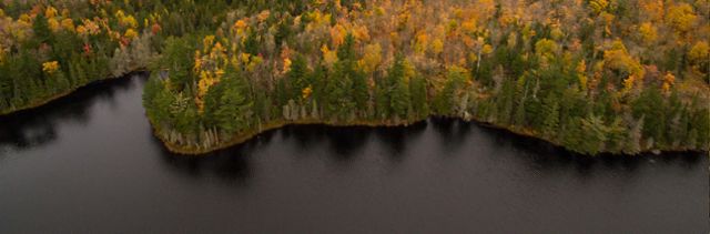 On the left is a calm Michigan lake in the Upper Peninsula, surrounded by colorful trees. On the right is the question: How many gallons of water per year can one large tree capture and filter? 