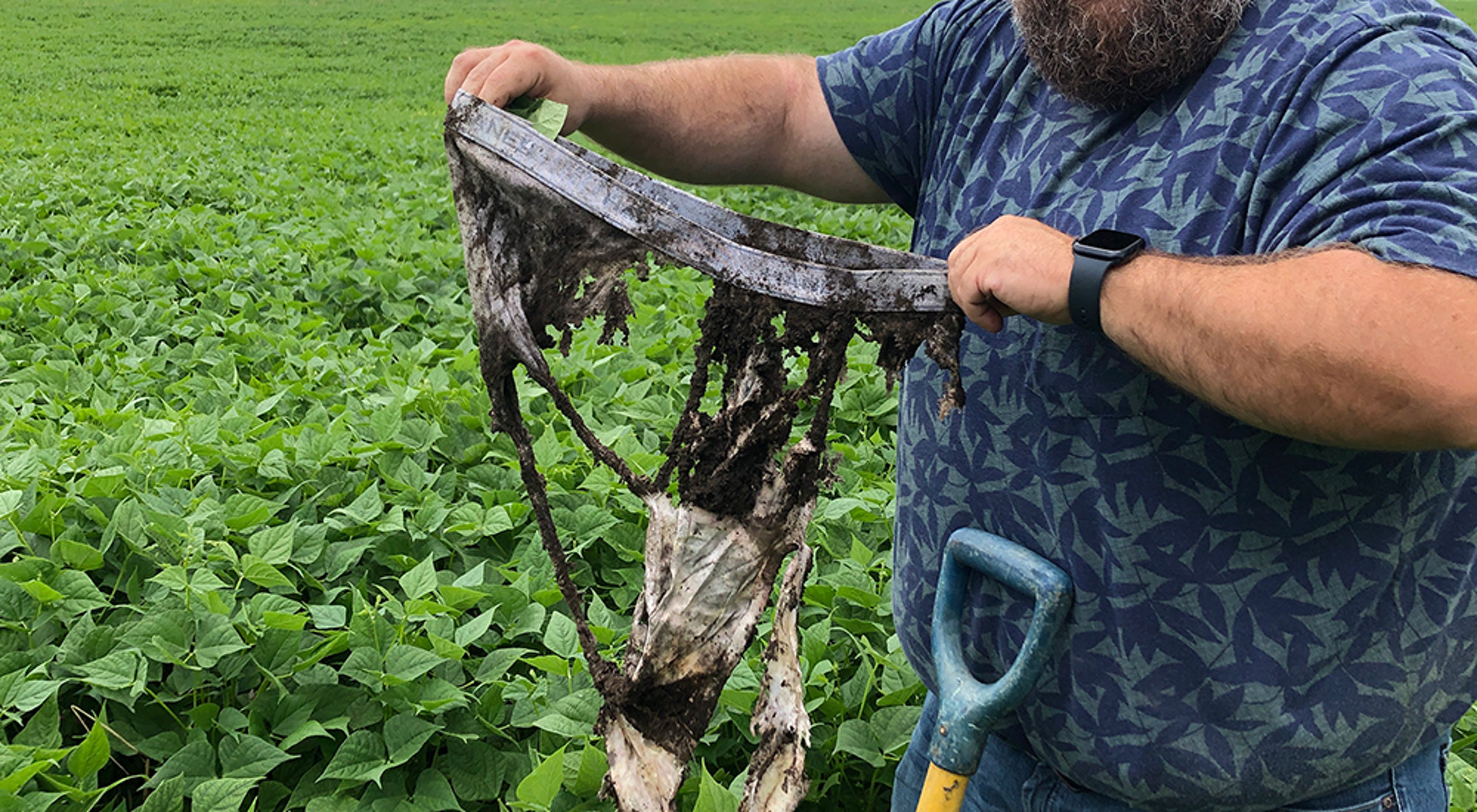 A person holds a pair of deteriorating underwear up as they stand in a field of crops. 