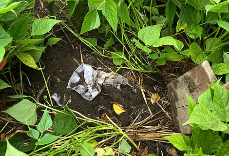 A pair of underwear are partially buried in a field in Saginaw Bay, Michigan.