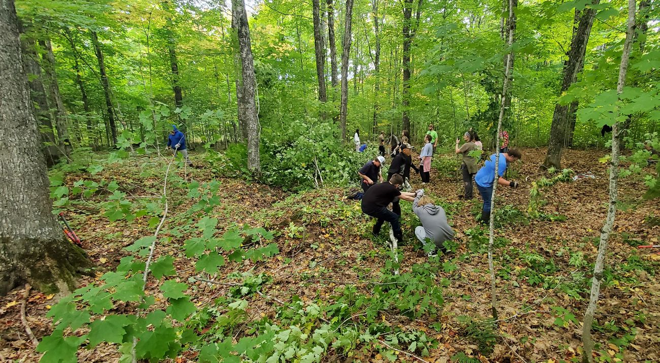 A group of students build a brush pile in a green forest in Michigan's Upper Peninsula.