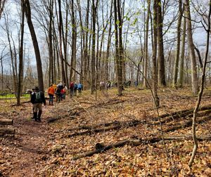 A group of people walk along a curved path at the Nan Weston Nature Preserve at Sharon Hollow. 