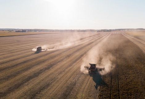 A field being harvested in Michigan's thumb in the Saginaw Bay Watershed