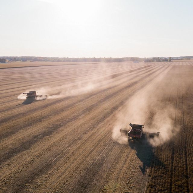 A field being harvested in Michigan's thumb in the Saginaw Bay Watershed