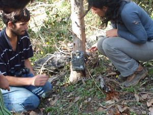 Capacitación cámaras trampa RCV, 2007