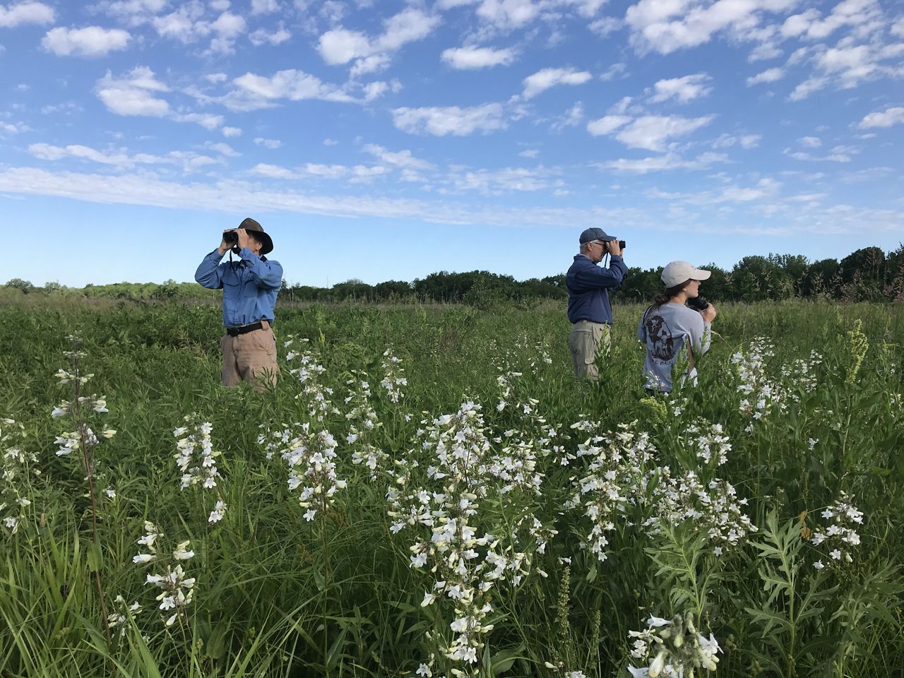 Midewin National Tallgrass Prairie | The Nature Conservancy in IL