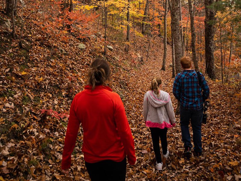 A group of people walk through an autumnal forest in Kentucky.